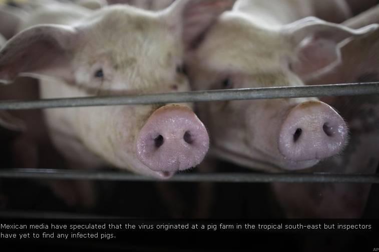  world health  What is Swine Flu? 