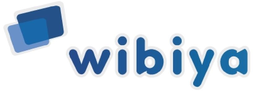 Wibiya tools  Wibiya Toolbar Not Showing on Wordpress Blog 