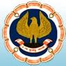 icai logo education  CA 2009 Final Results  