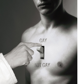 gay reviews A Gay Wants To Be Gay 