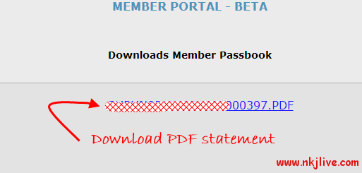epf-statement-4